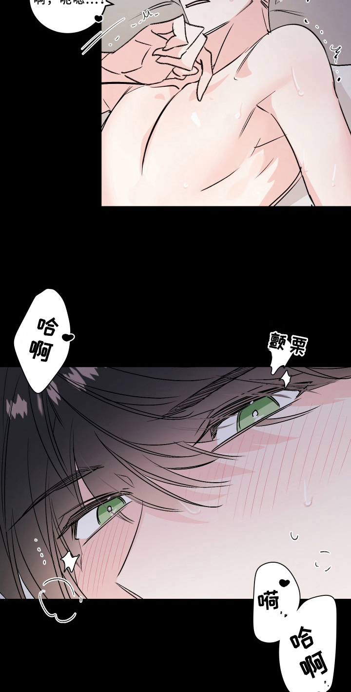 第74章：梅子伙伴：想法4