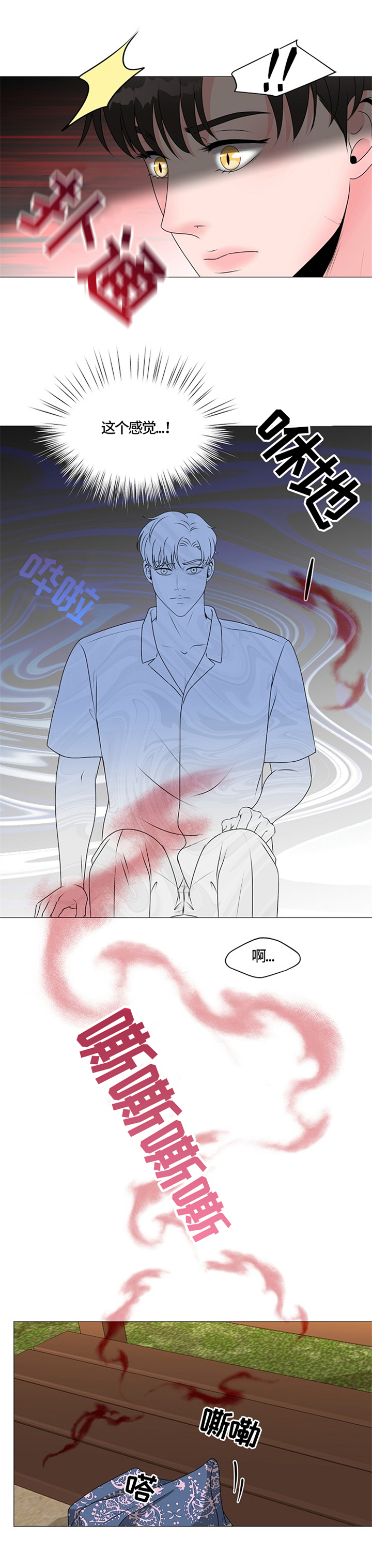 第26章：猫咪丢失4