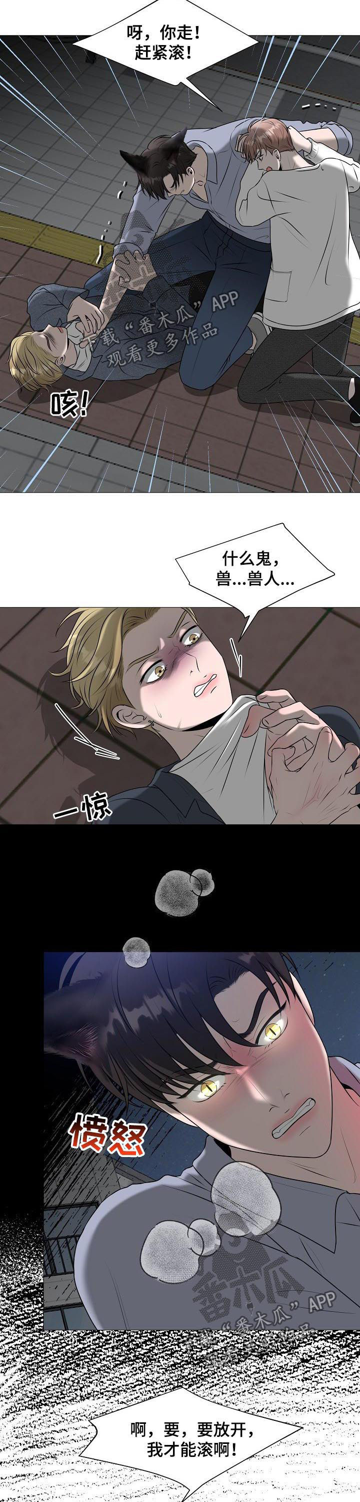 第40章：什么意思4