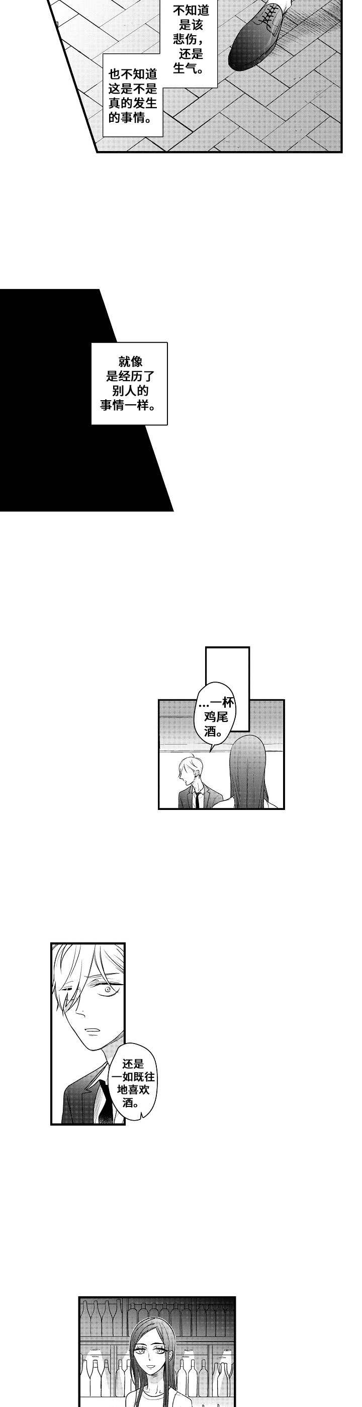 第17章：傻子一样1