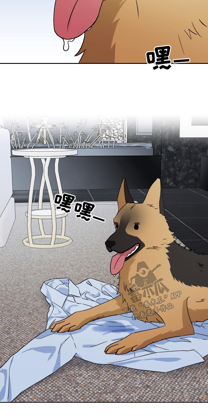 第100章：【第二季】做饭2