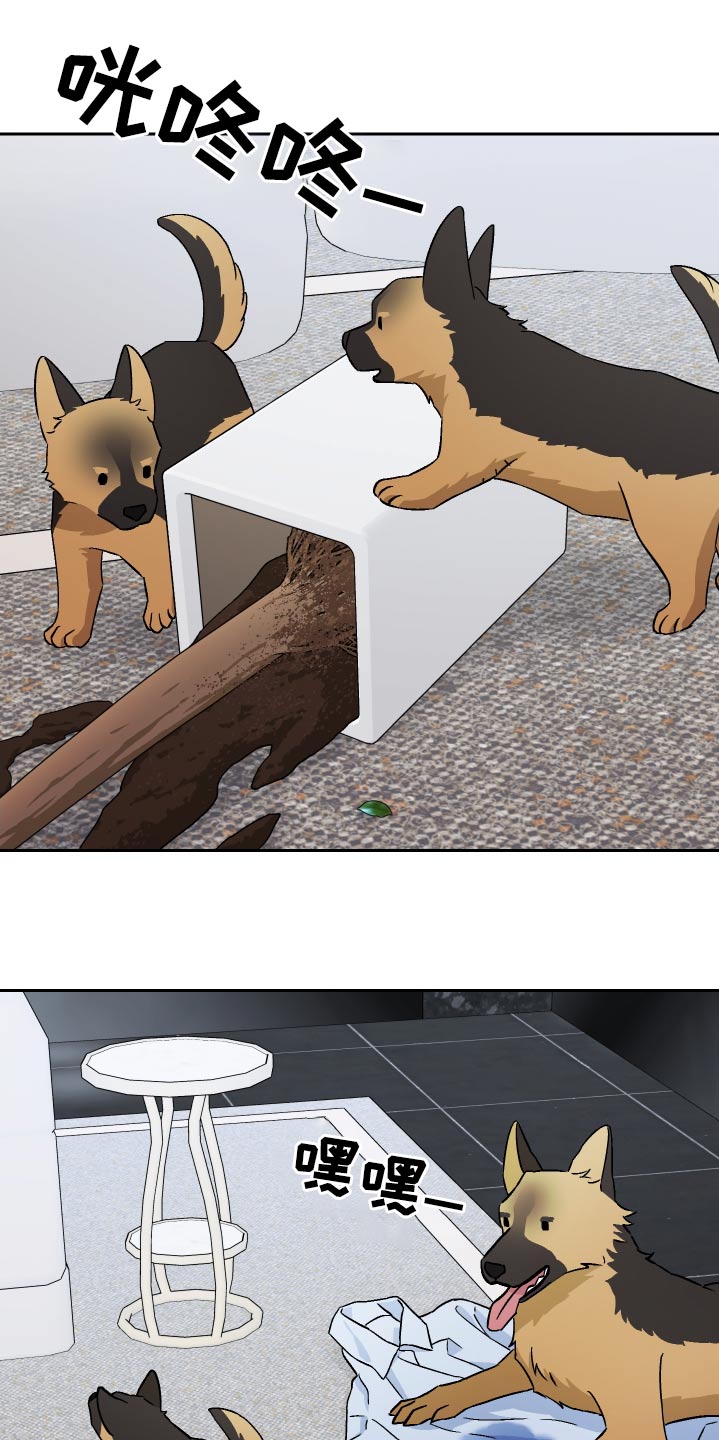 第100章：【第二季】做饭3