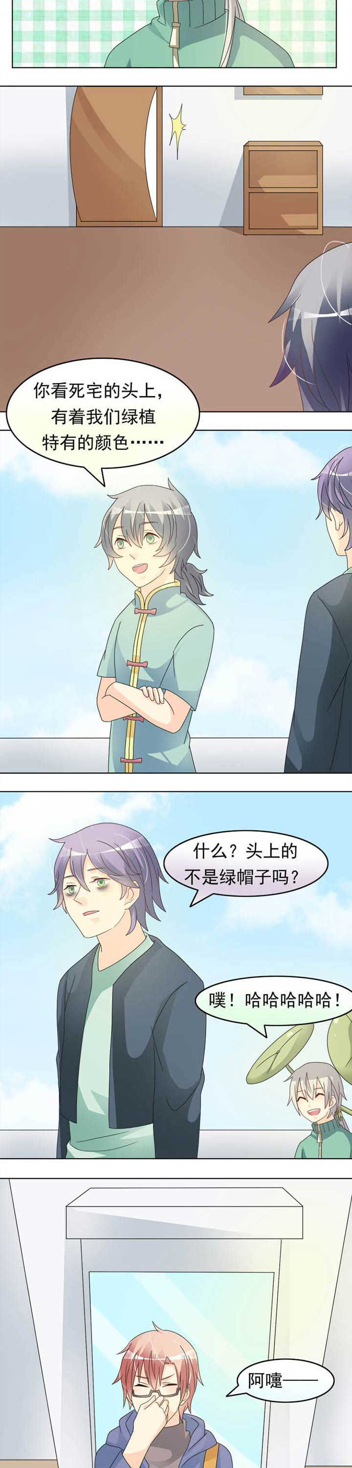 第35章：草神出关4