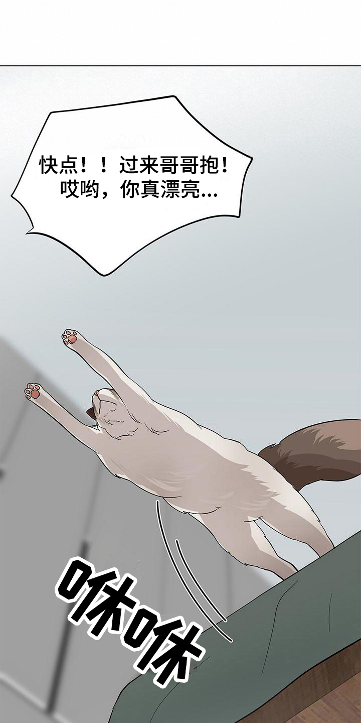 第22章：小可爱2