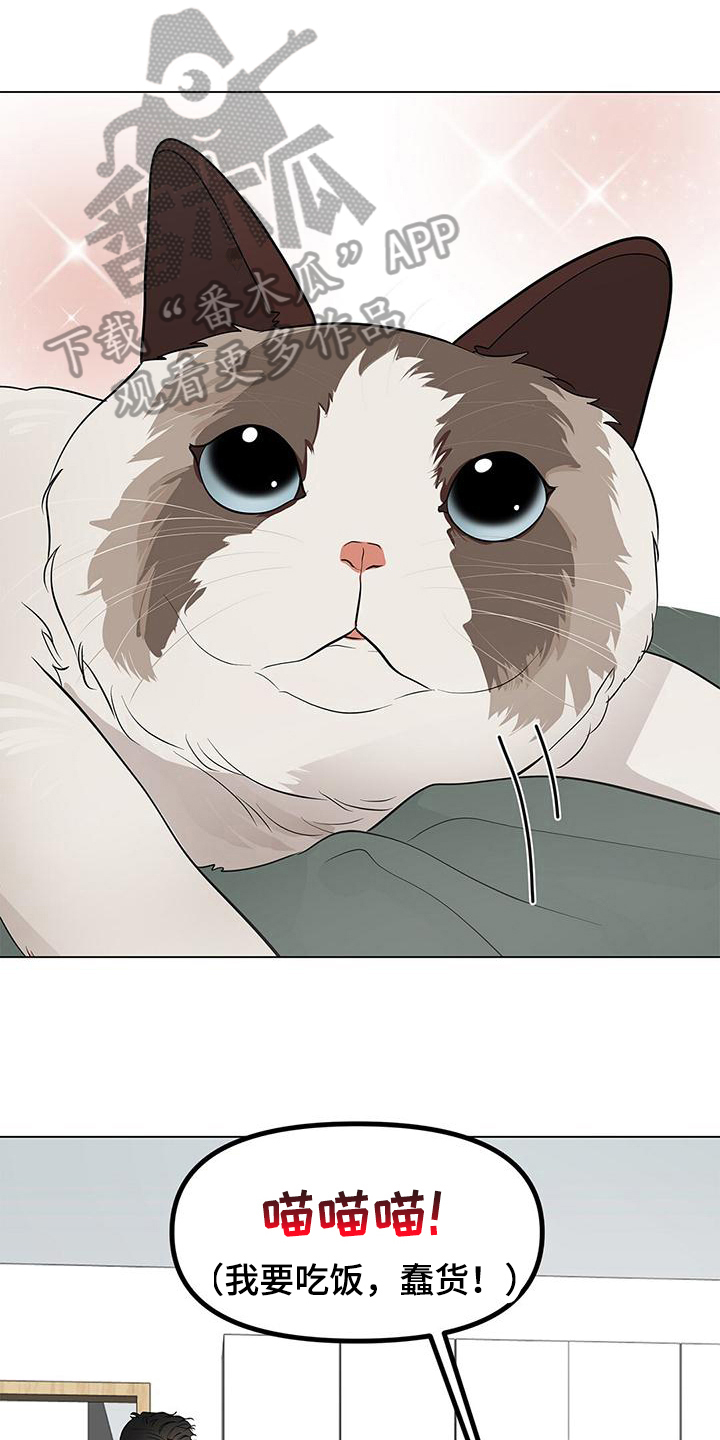 第22章：小可爱0