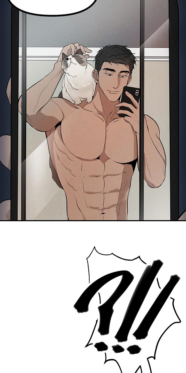 第23章：看电影3