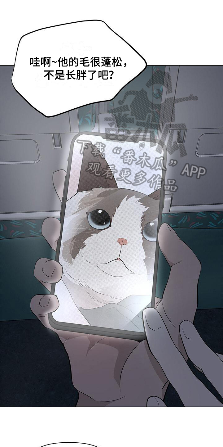 第23章：看电影0