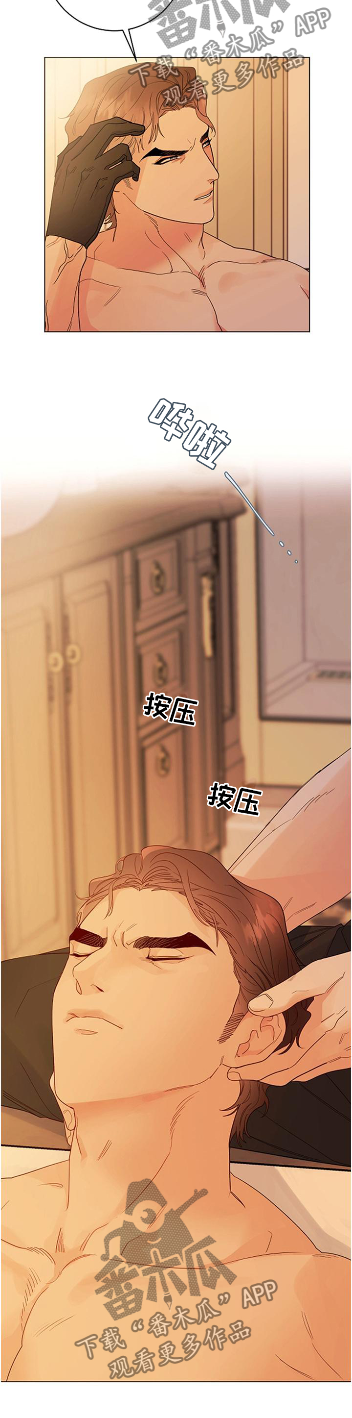 第40章：血统的故事4