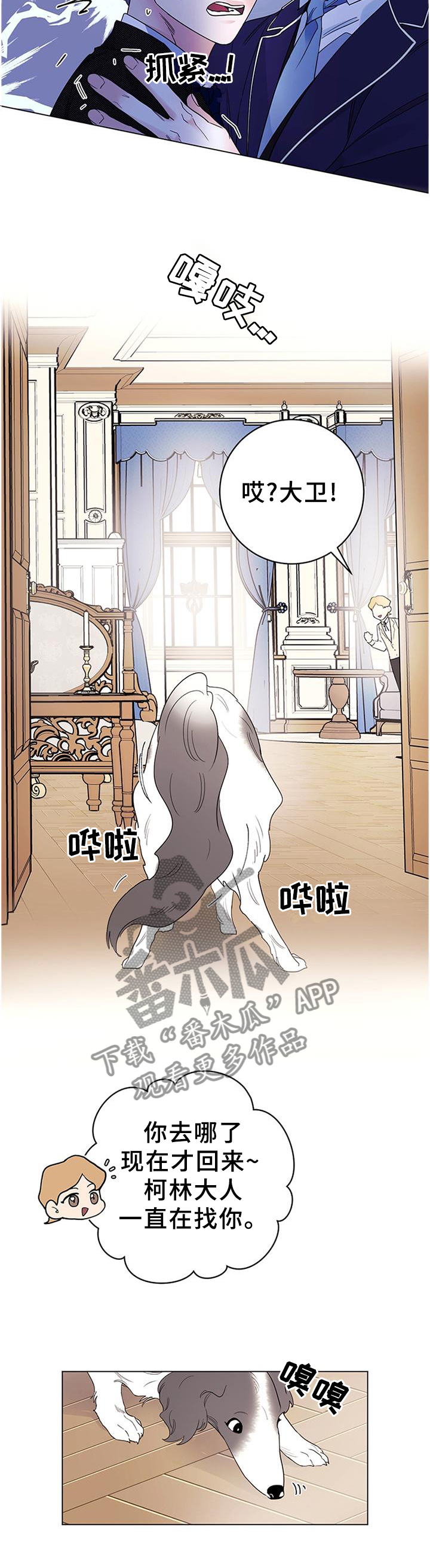 第36章：灵性的狗狗4