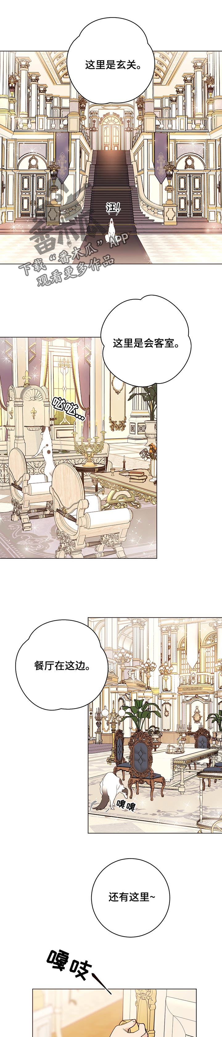 第66章：值得吗0