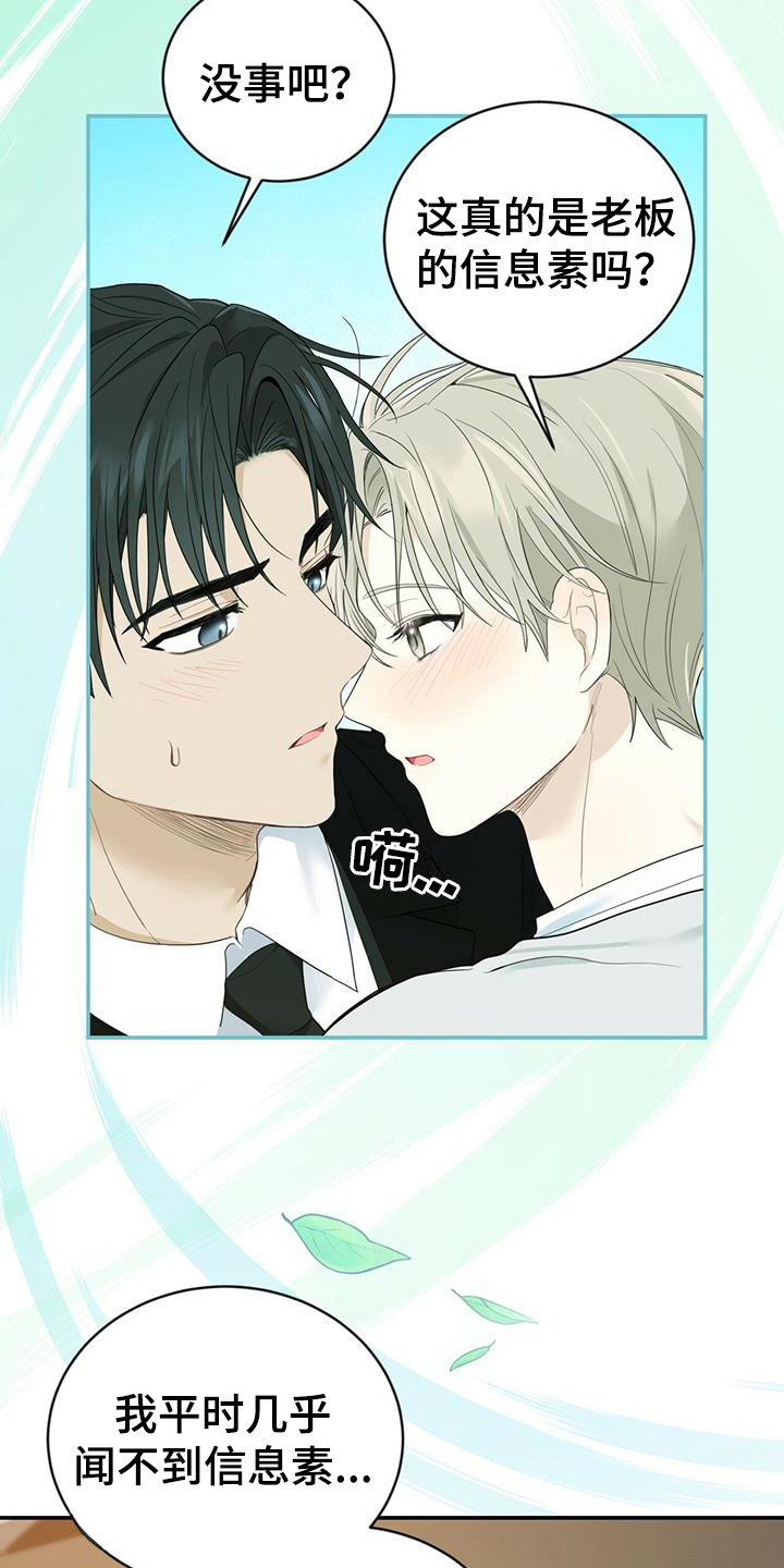 第26章：信息素4