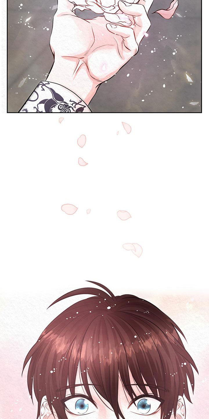 第1章：命运之夜1