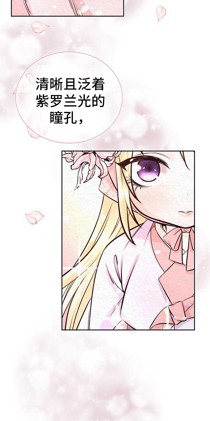 第3章：他的蝴蝶1