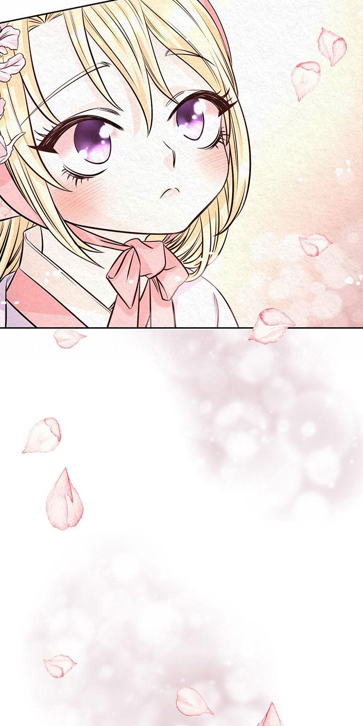 第3章：他的蝴蝶4