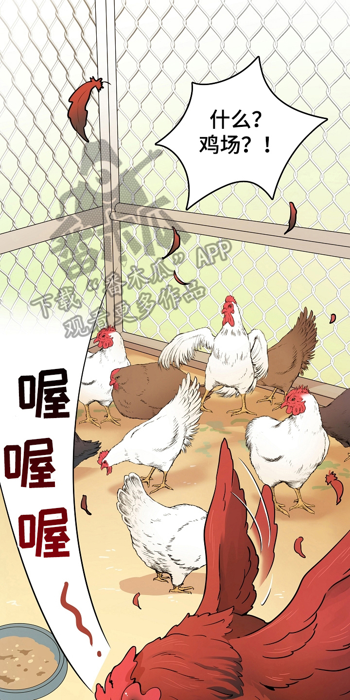 第7章：掏鸡蛋2