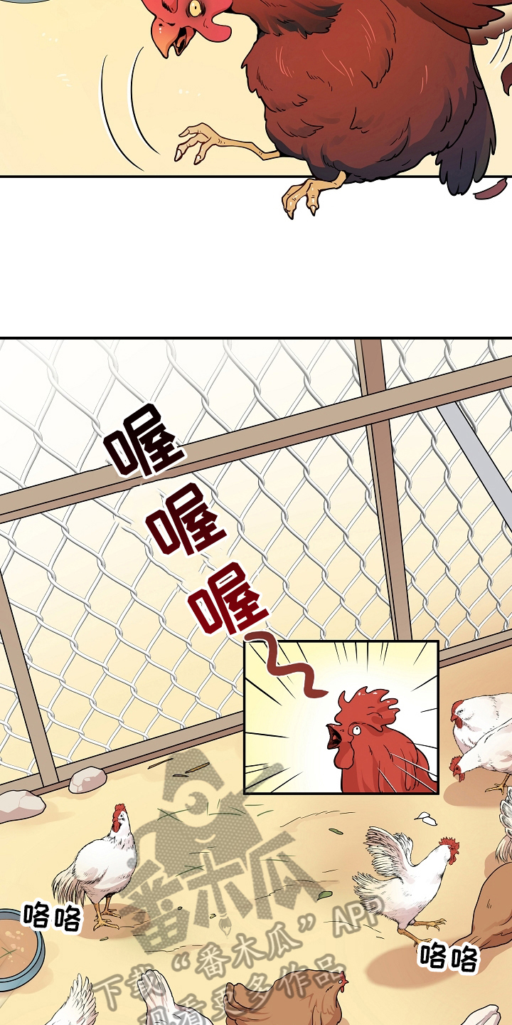 第7章：掏鸡蛋3