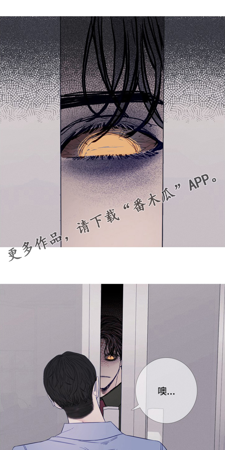 第42章：妨碍0
