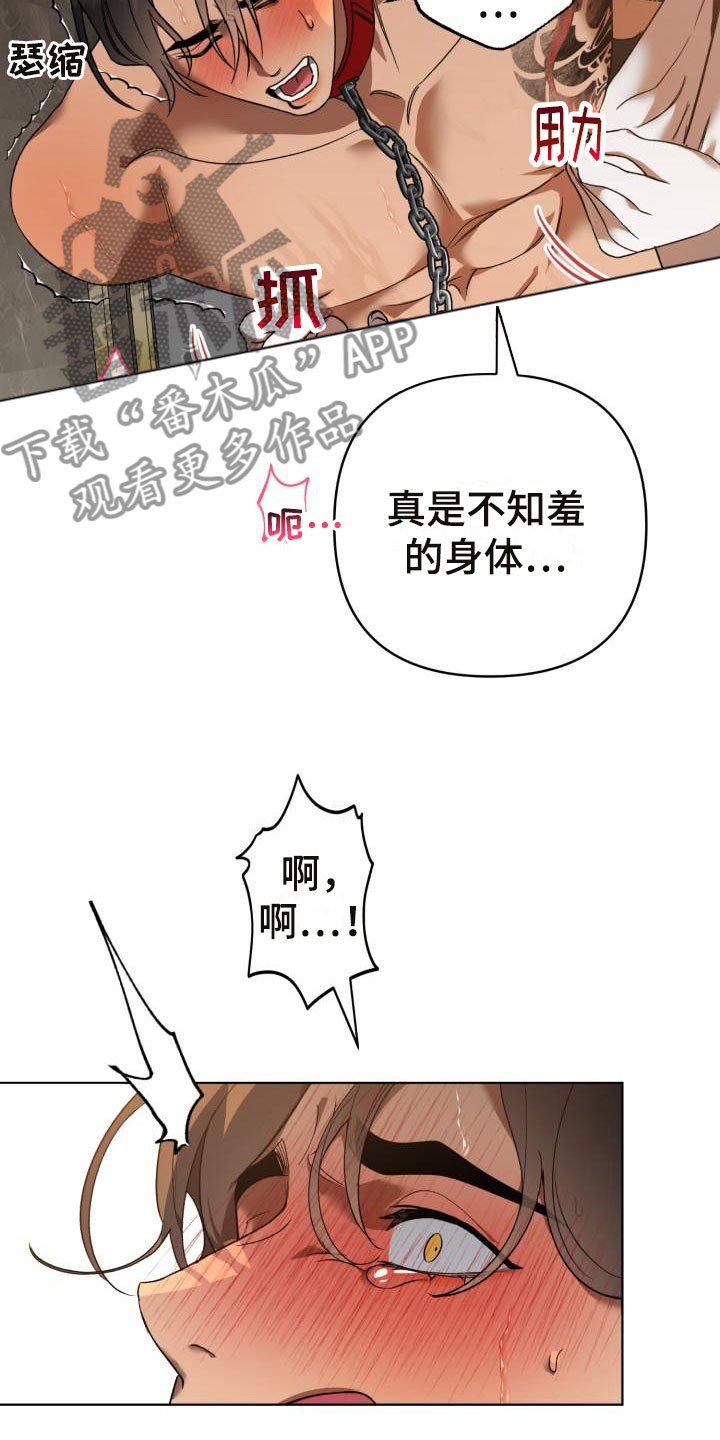 第11章：别惹我：烧起来了2
