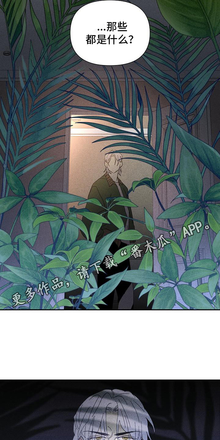 第22章：花木有情：挑衅4