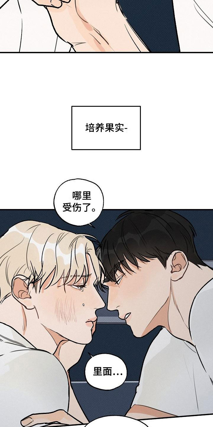 第3章：坏种：无法回头4