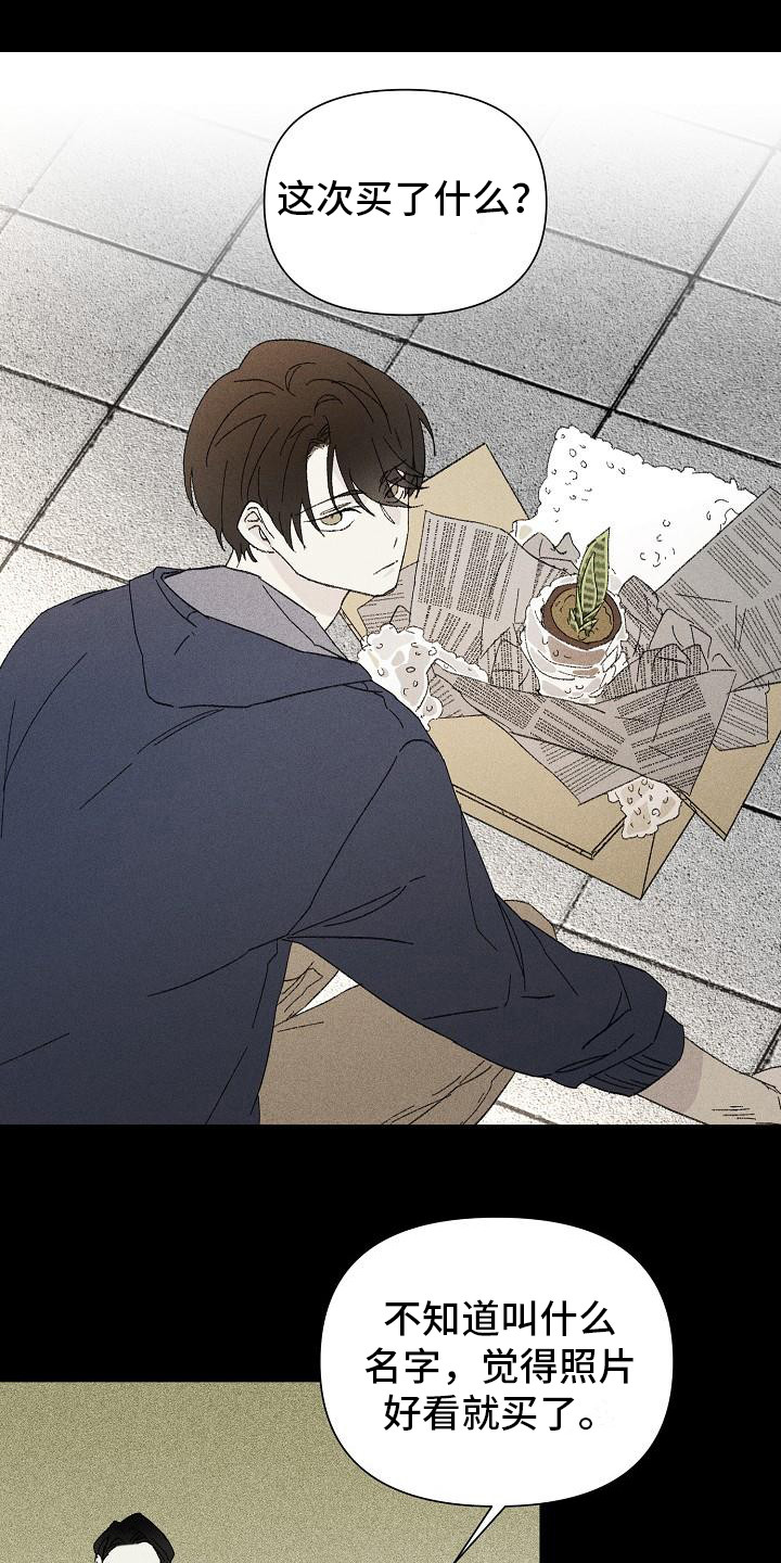 第23章：花木有情：养植物0