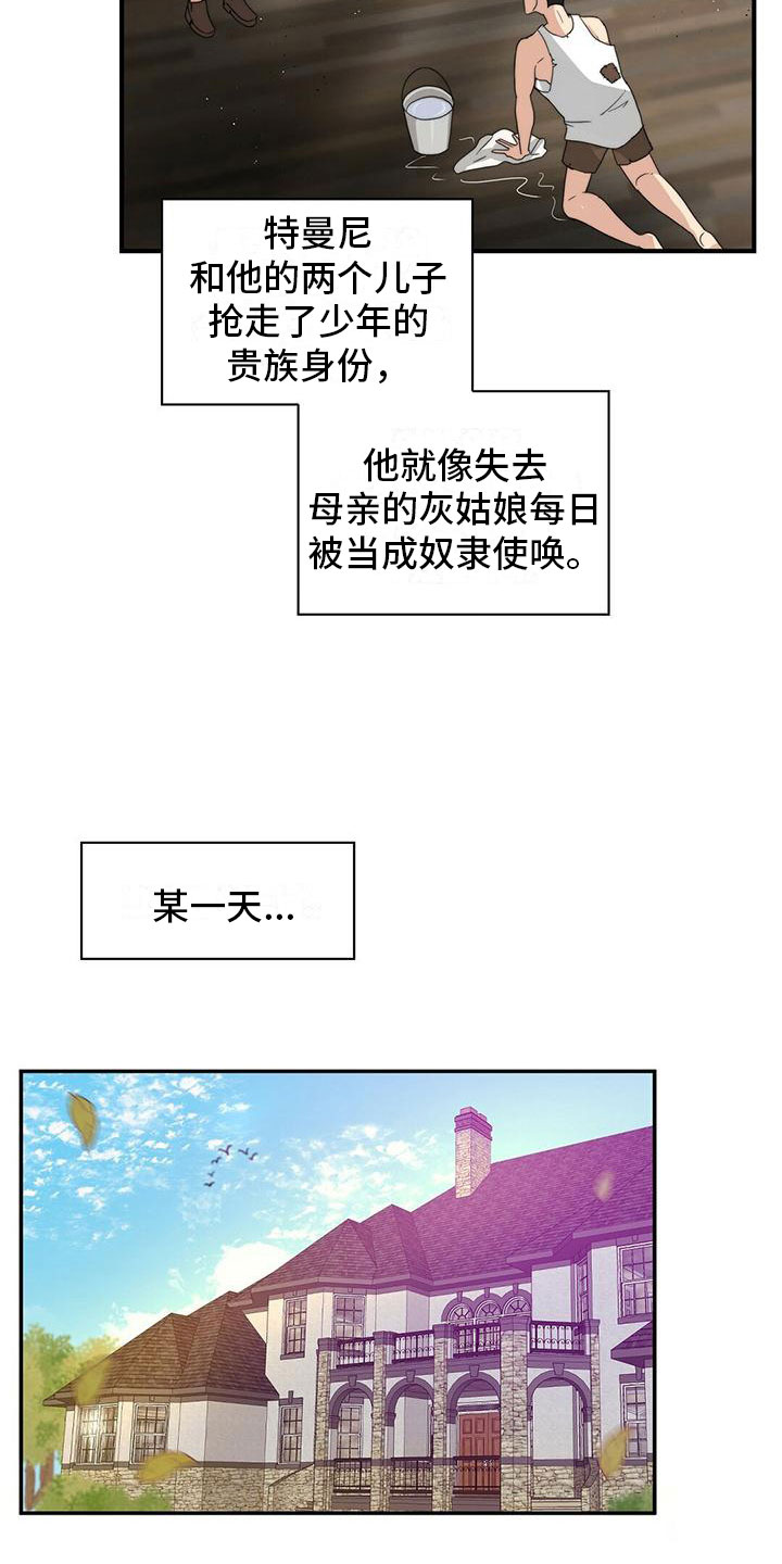 第1章：“灰姑娘”4