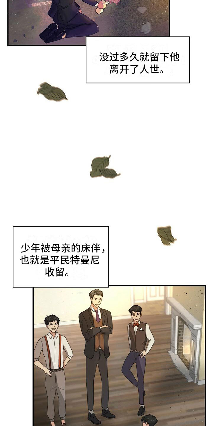 第1章：“灰姑娘”3