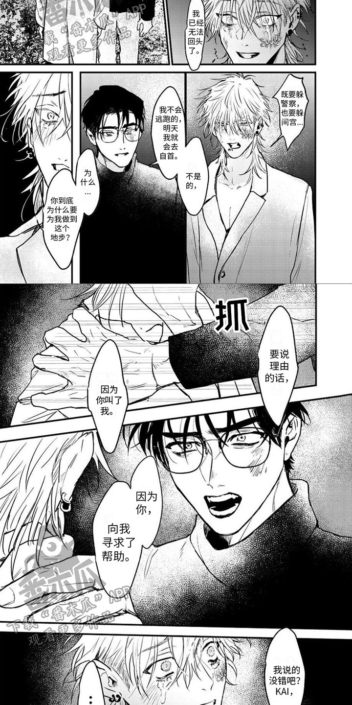 第17章：期待的东西3