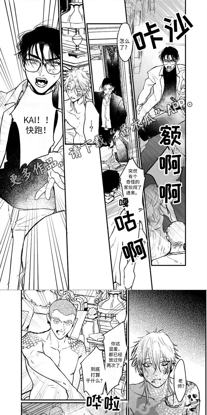 第17章：期待的东西0