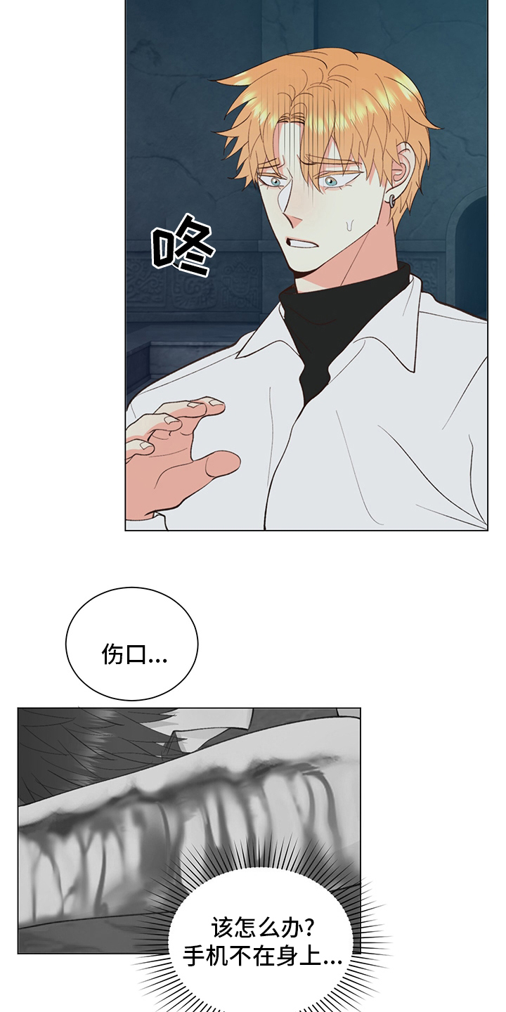 第40章：【番外】紫色瞳孔3