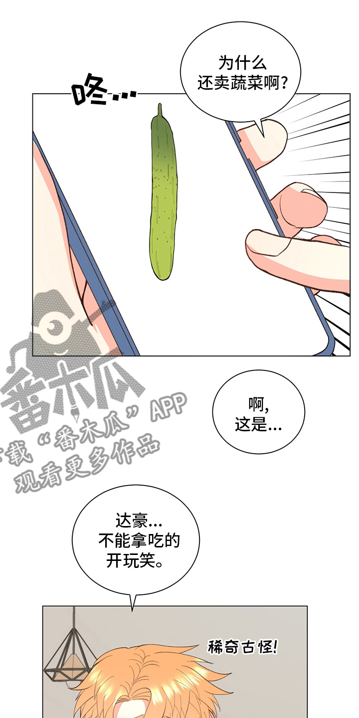 第38章：【番外】玩具3