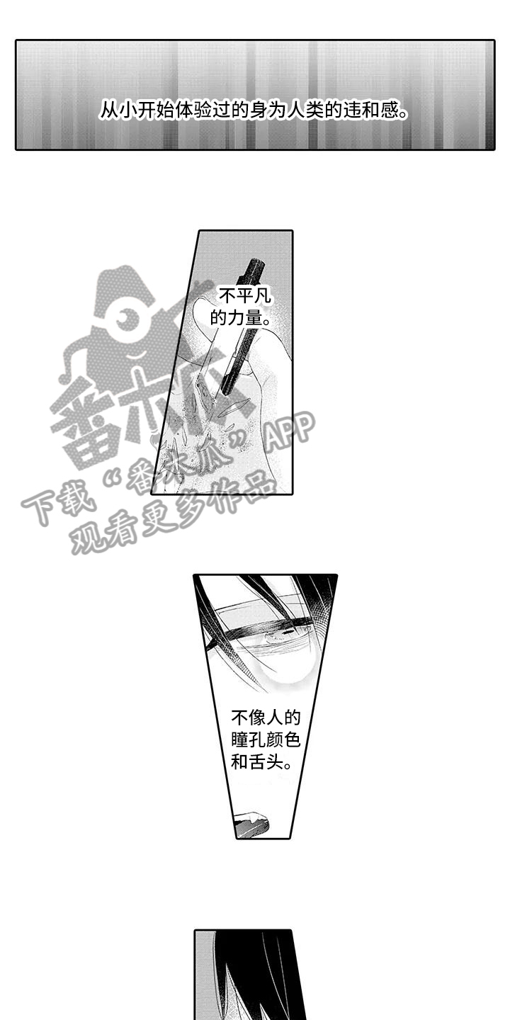 第21章：期待【完结】0