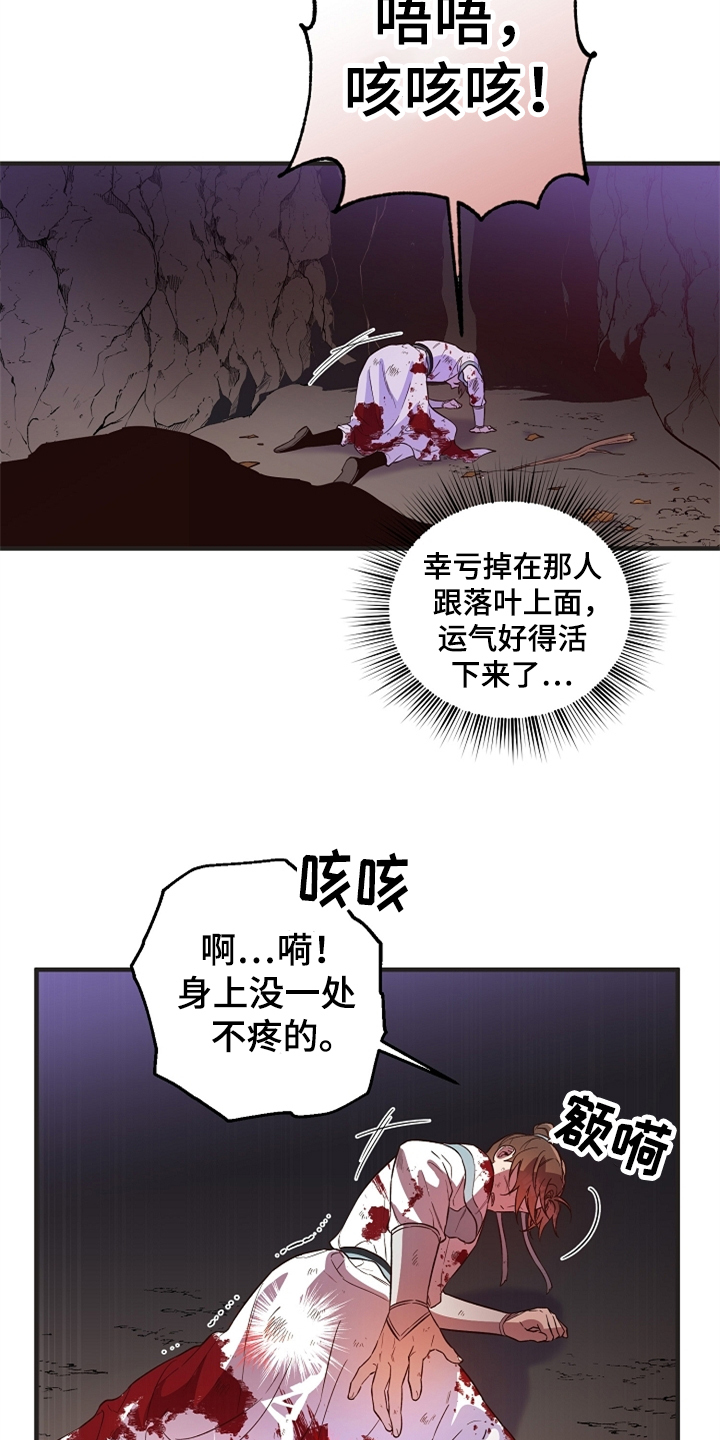 第36章：山洞机缘3