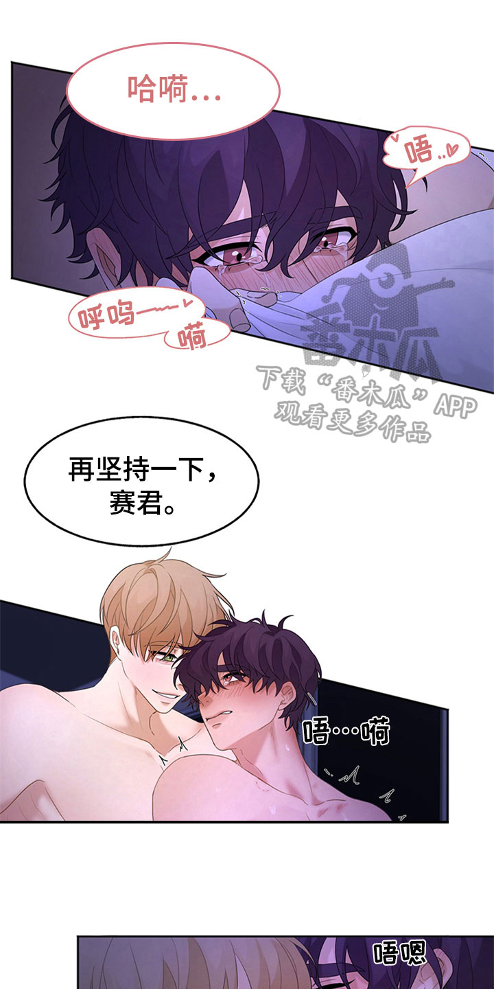 第6章：理想型0