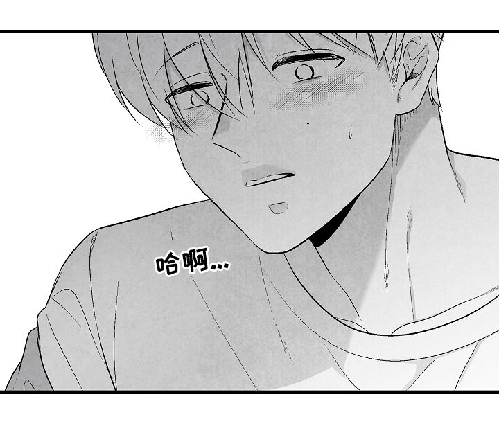 第37章：真没礼貌2