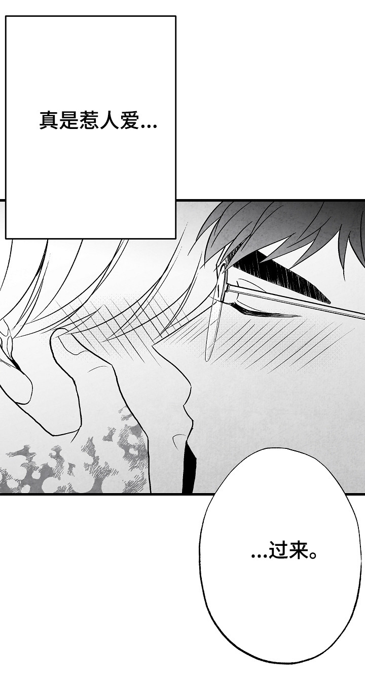 第54章：怎么办4