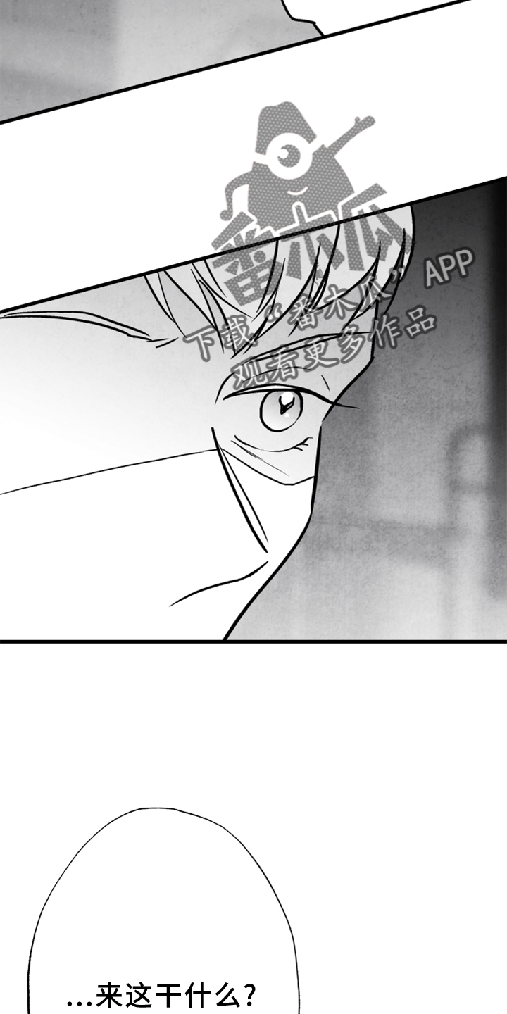 第133章：【第二季】灭口3