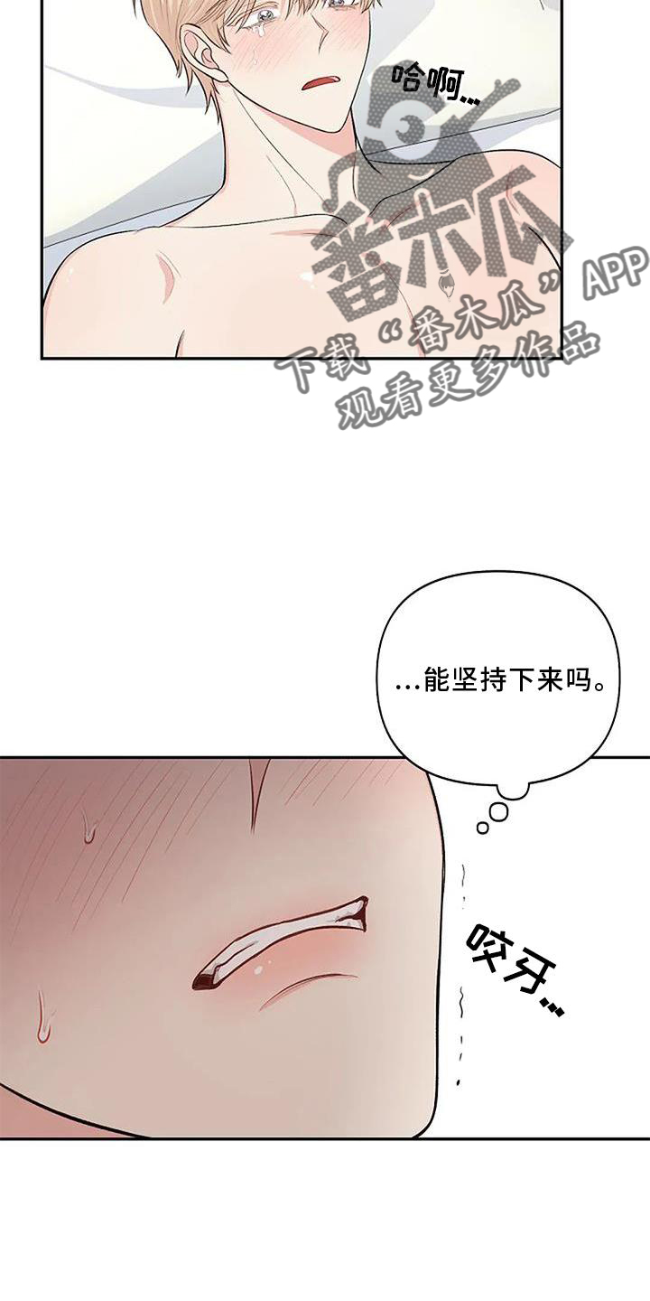 第13章：安排4