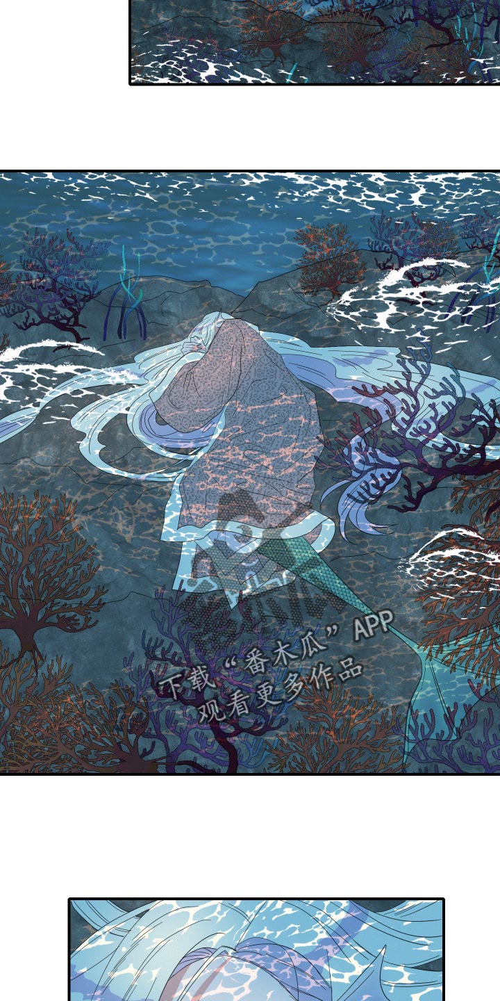 第48章：月神降临4