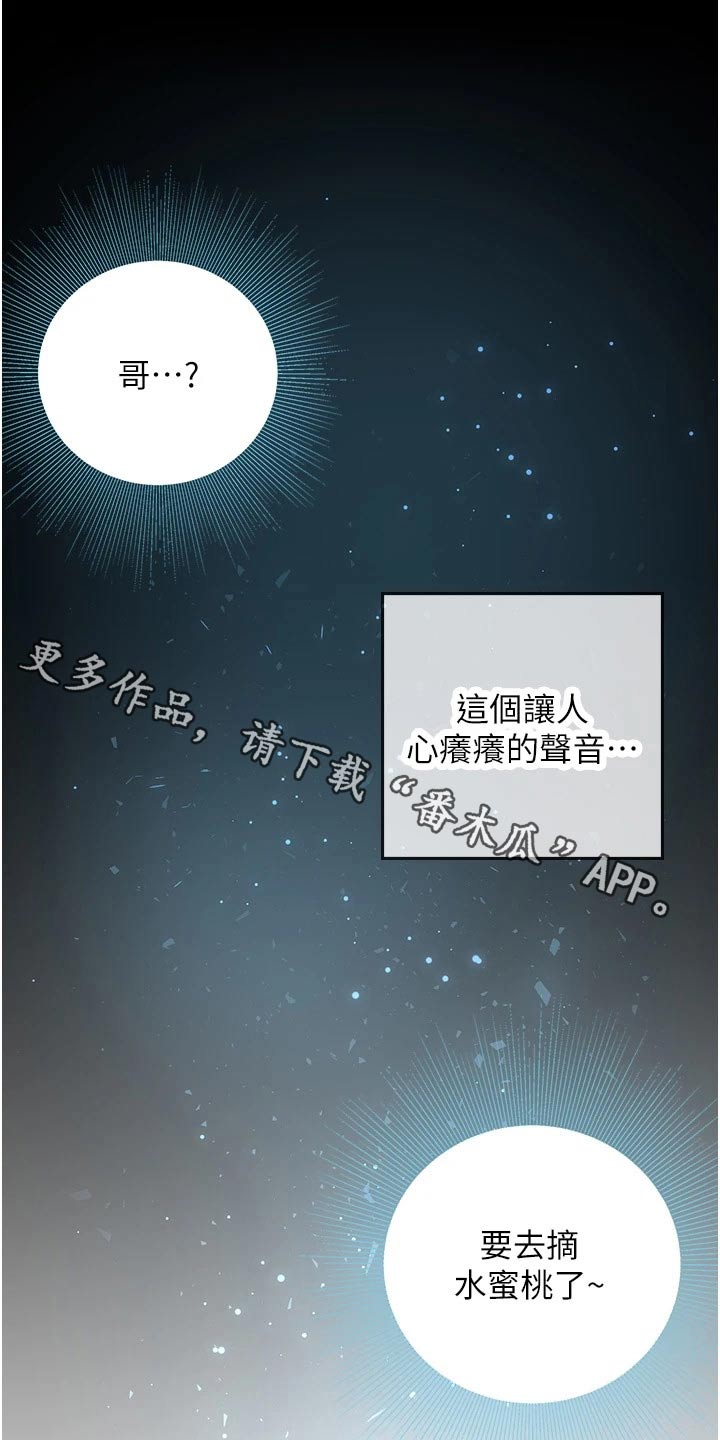 第53章：水蜜桃0