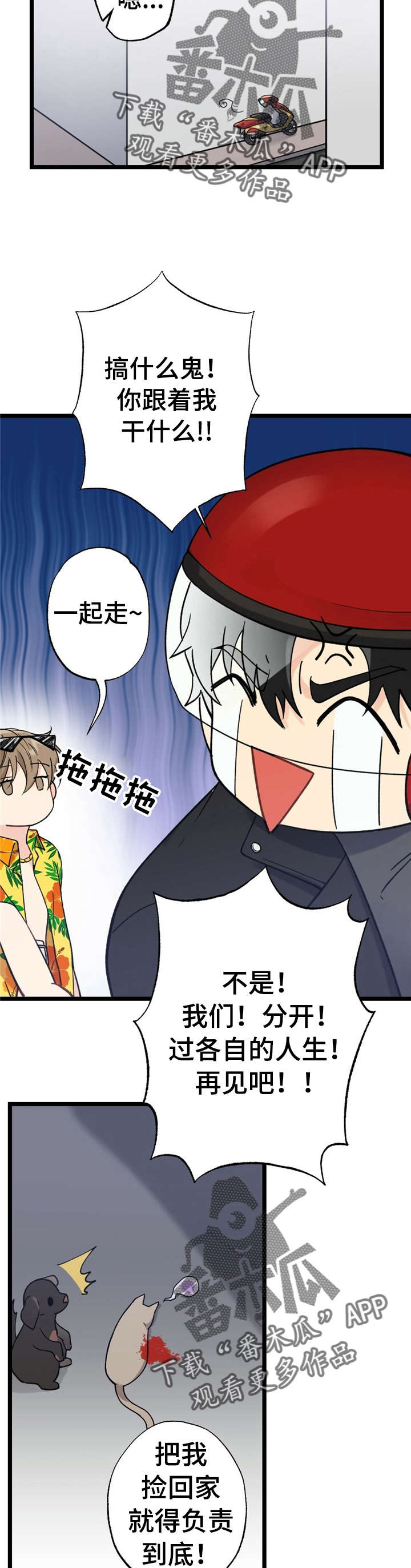 第13章：漂亮宝贝的三合会：跑路4