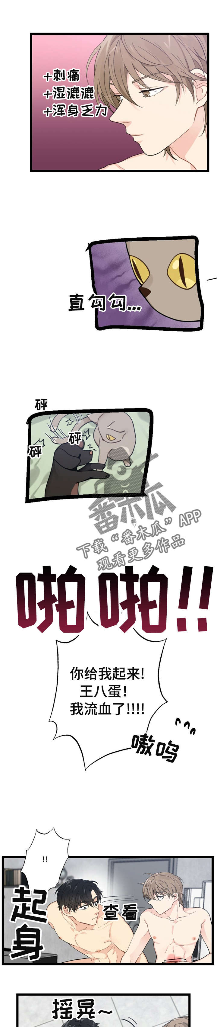 第11章：漂亮宝贝的三合会：裂开0