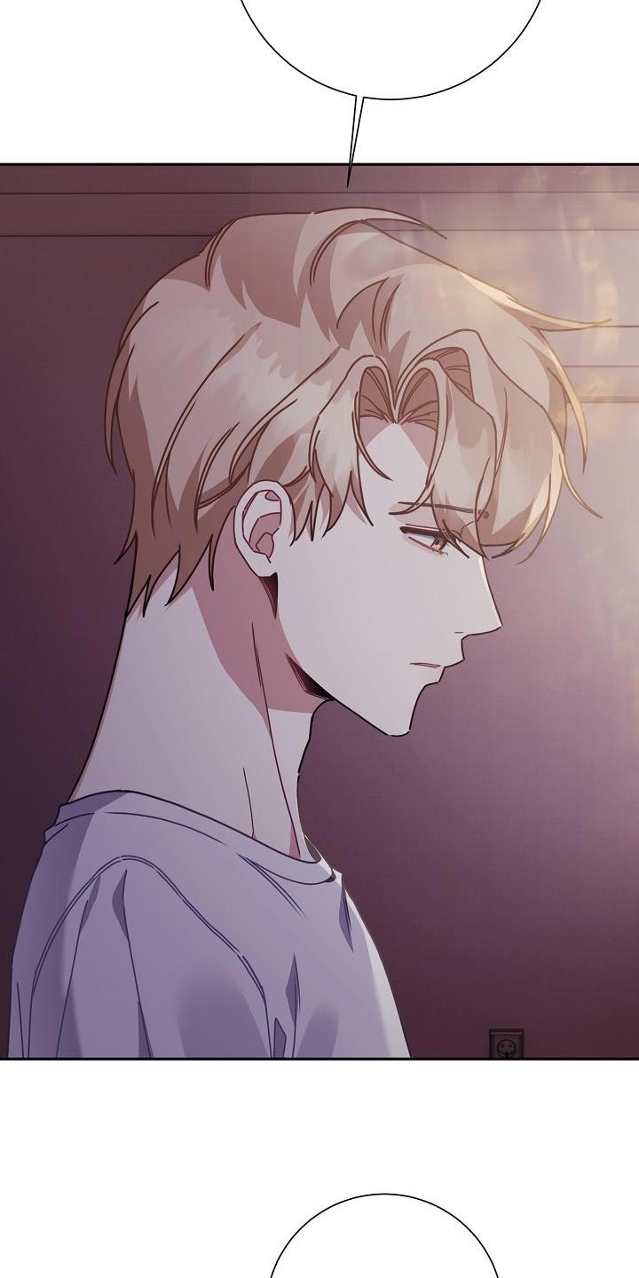 第42章：比较信任3