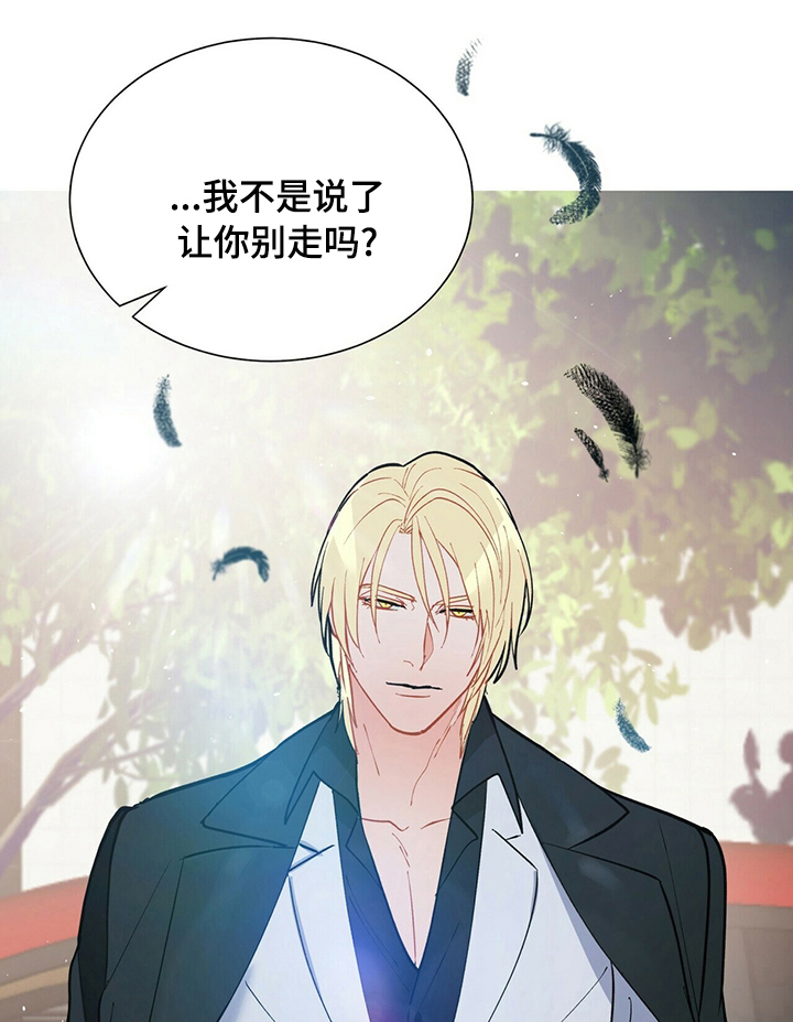 第90章：【完结】我们去约会吧0