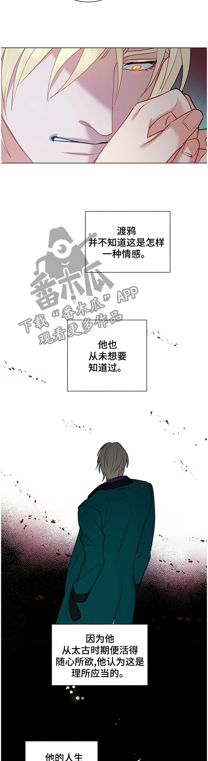 第56章：原来如此1