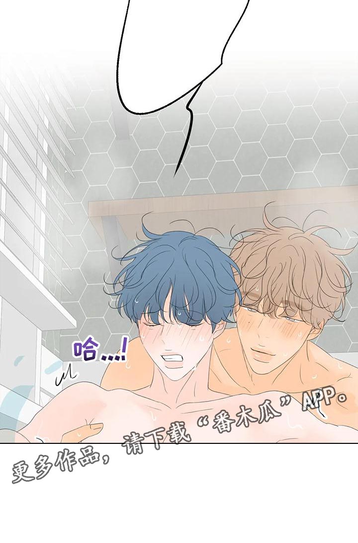 第17章：最高的称赞3