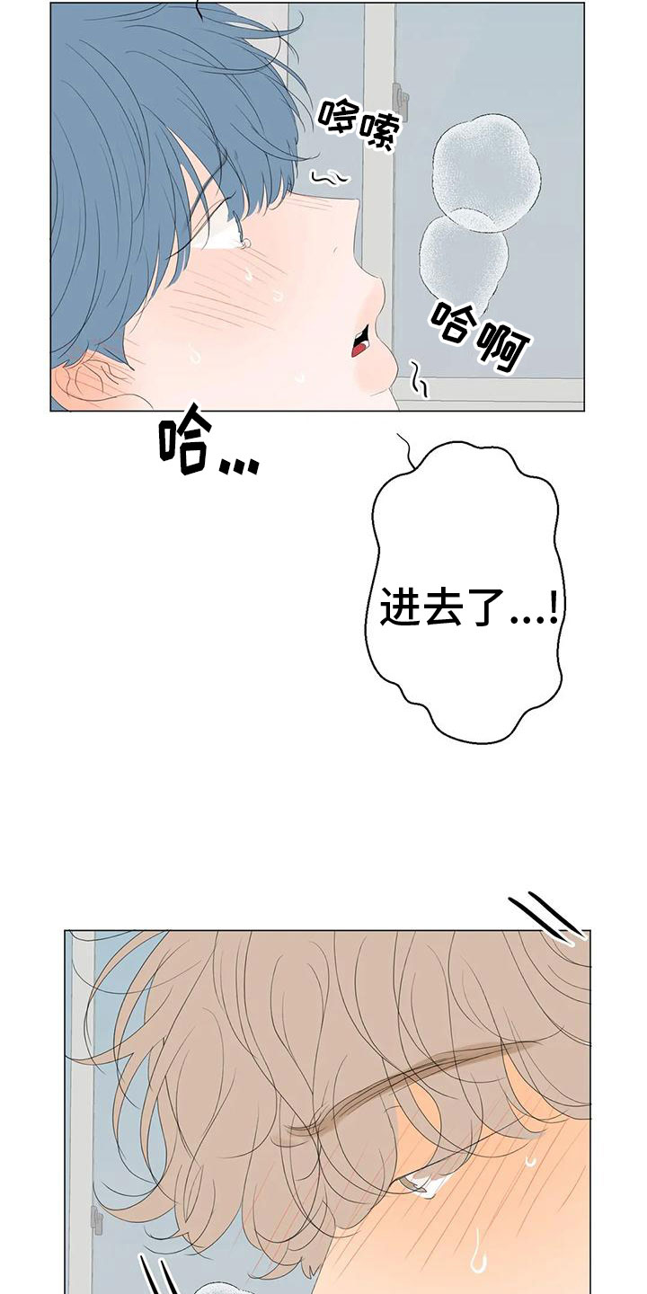 第15章：最爱的人1