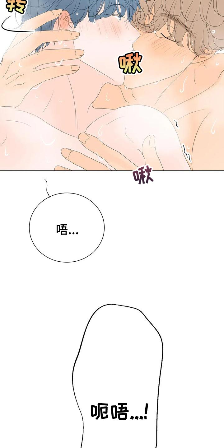 第17章：最高的称赞2