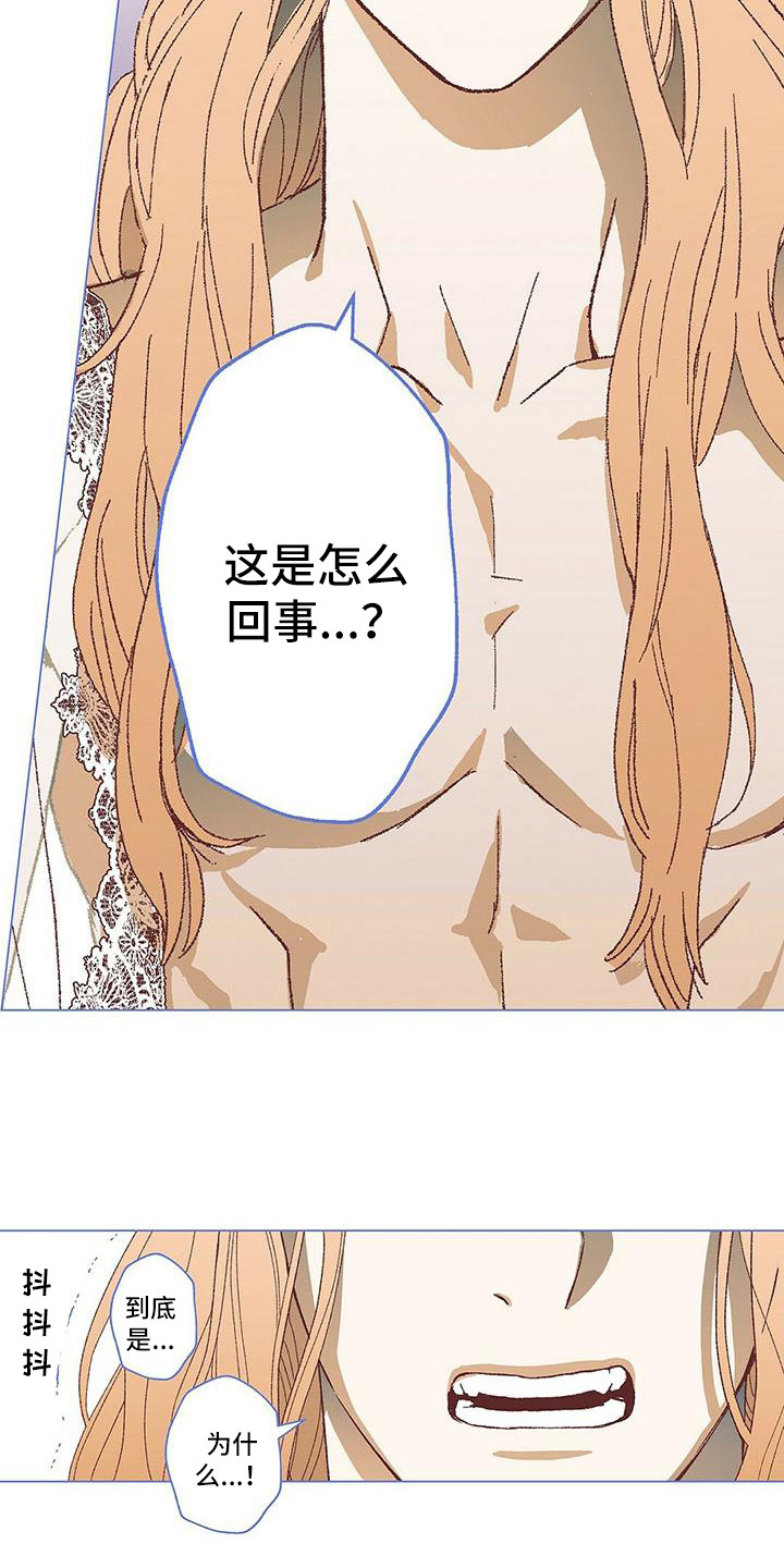 第17章：压力太大3