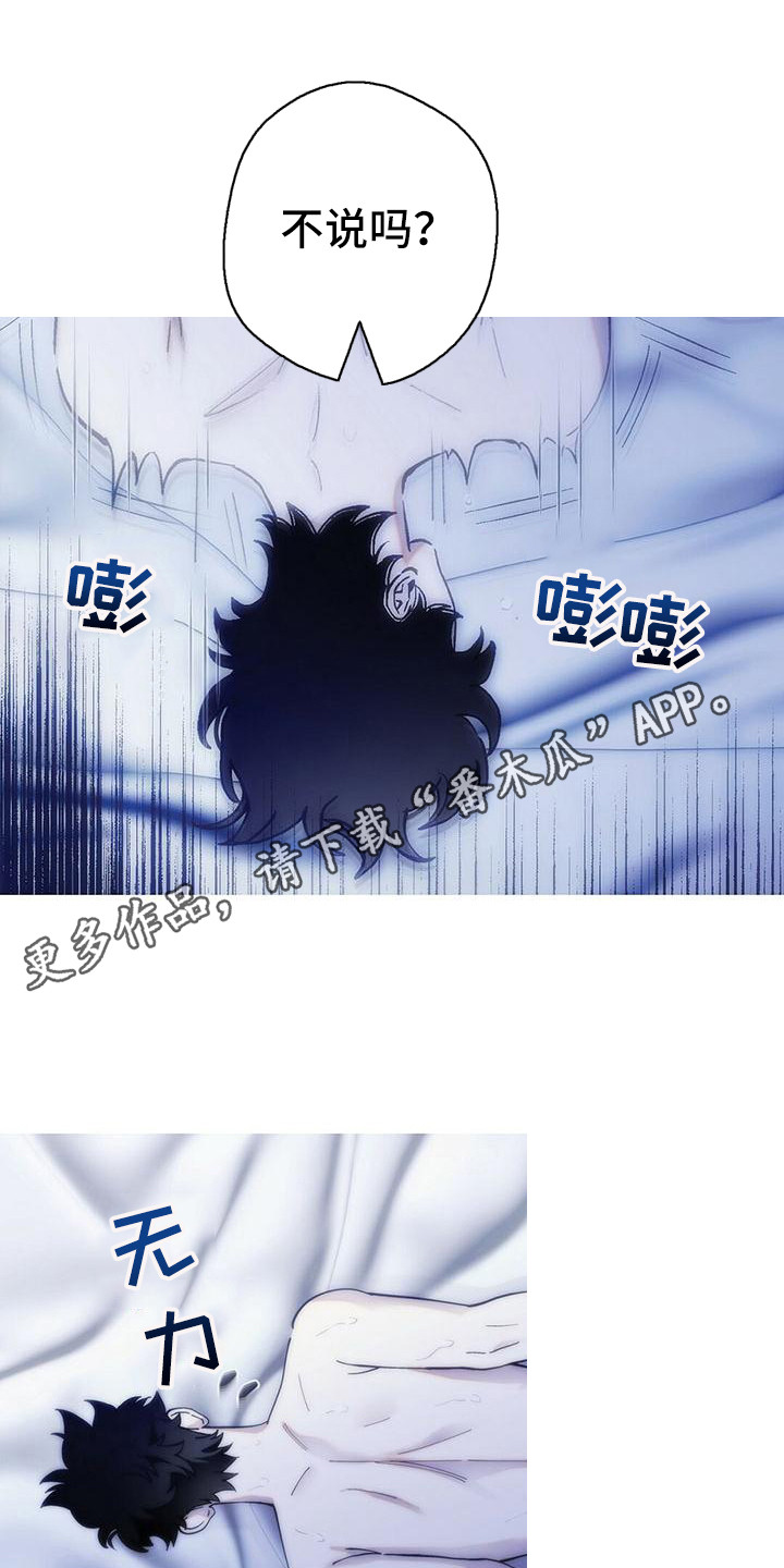 第21章：说你喜欢4